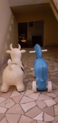 24 anni di Libri Necessari