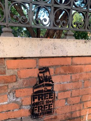 Nasone Free Palestine piazza vittorio a Roma
